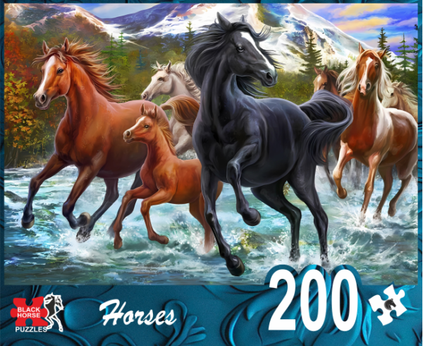 PUZZLES 200 PIECES