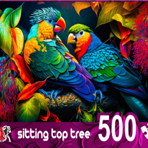 PUZZLES 500 PIECES