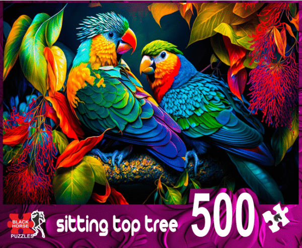 PUZZLES 500 PIECES