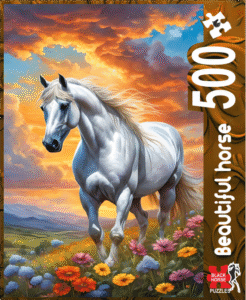 PUZZLES 500 PIECES